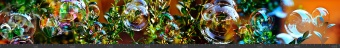 Стеновая панель фотопечать (цветы и растения) 144869