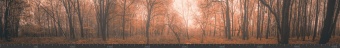 Стеновая панель фотопечать (панорамы природы) 143324