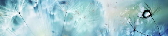 Серия Мерцание Композит Глянцевые фартуки 3000*610*3мм Одуванчики синие