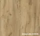 Дуб Золотой