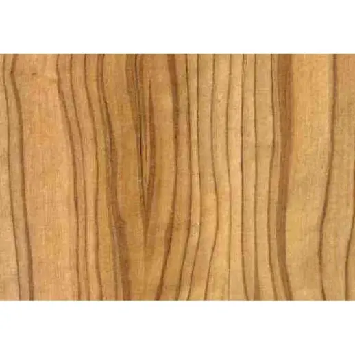 Севильская олива