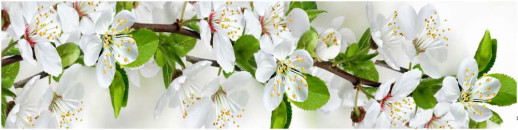 Серия AG Глянцевые фартуки 2440*610*4мм AG 05