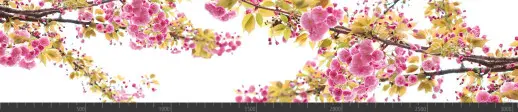Стеновая панель фотопечать (цветы и растения) 104003
