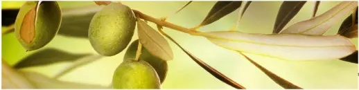 Серия AG Глянцевые фартуки 2440*610*4мм AG 18