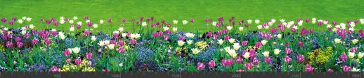 Стеновая панель фотопечать (цветы и растения) 104009