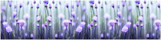 Серия AG Глянцевые фартуки 2440*610*4мм AG 74