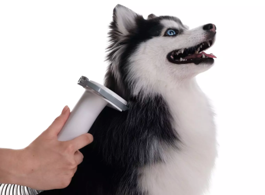 Пылесос для груминга HAIER PETPURE M PRO