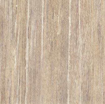 ЧАЙНОЕ ДЕРЕВО